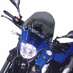 _Givi Spezifisches Windschild Yamaha XT 660 X 04-16 | D433S | Greenland MX_